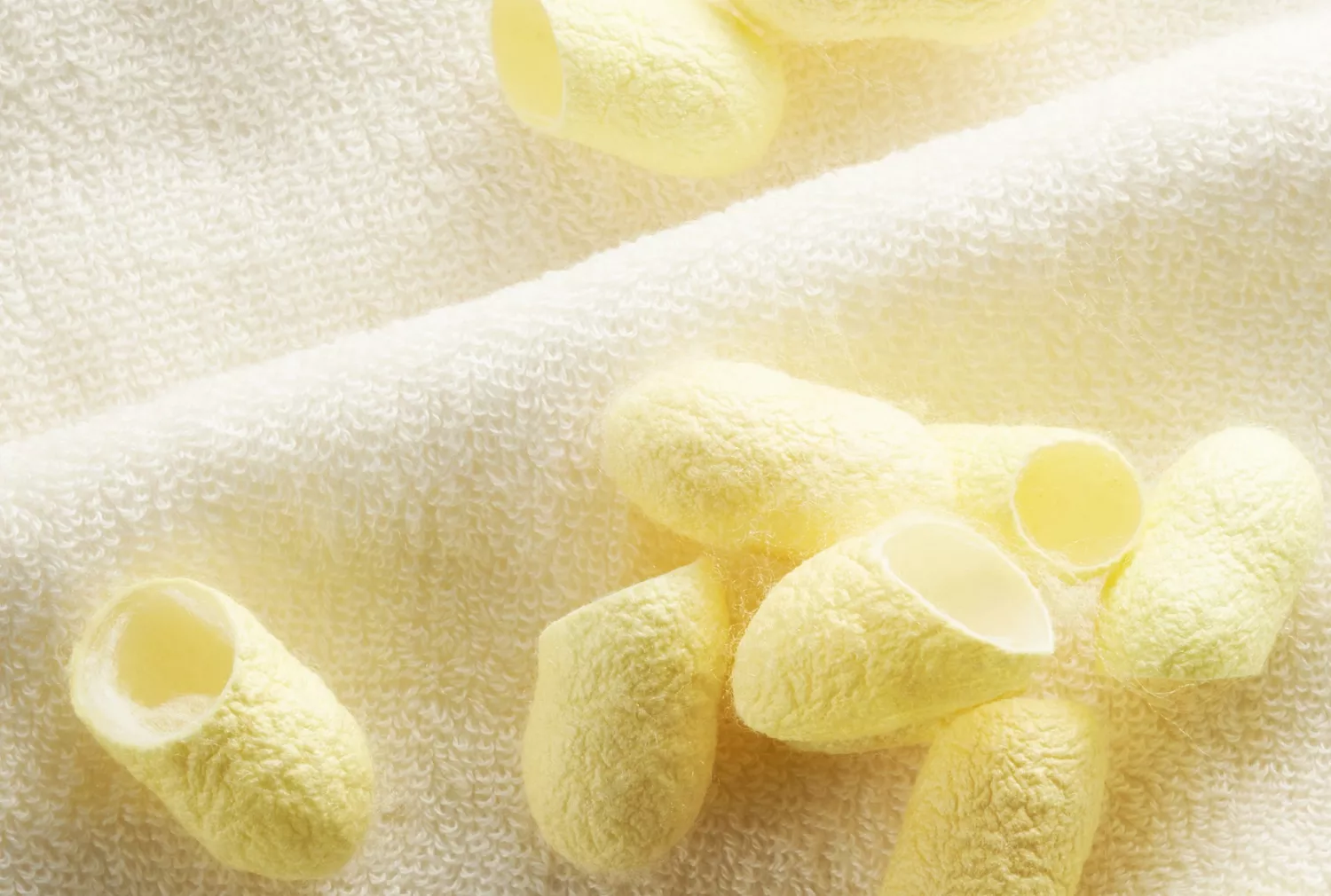 希少なみどり繭が持つ優れた成分に着目