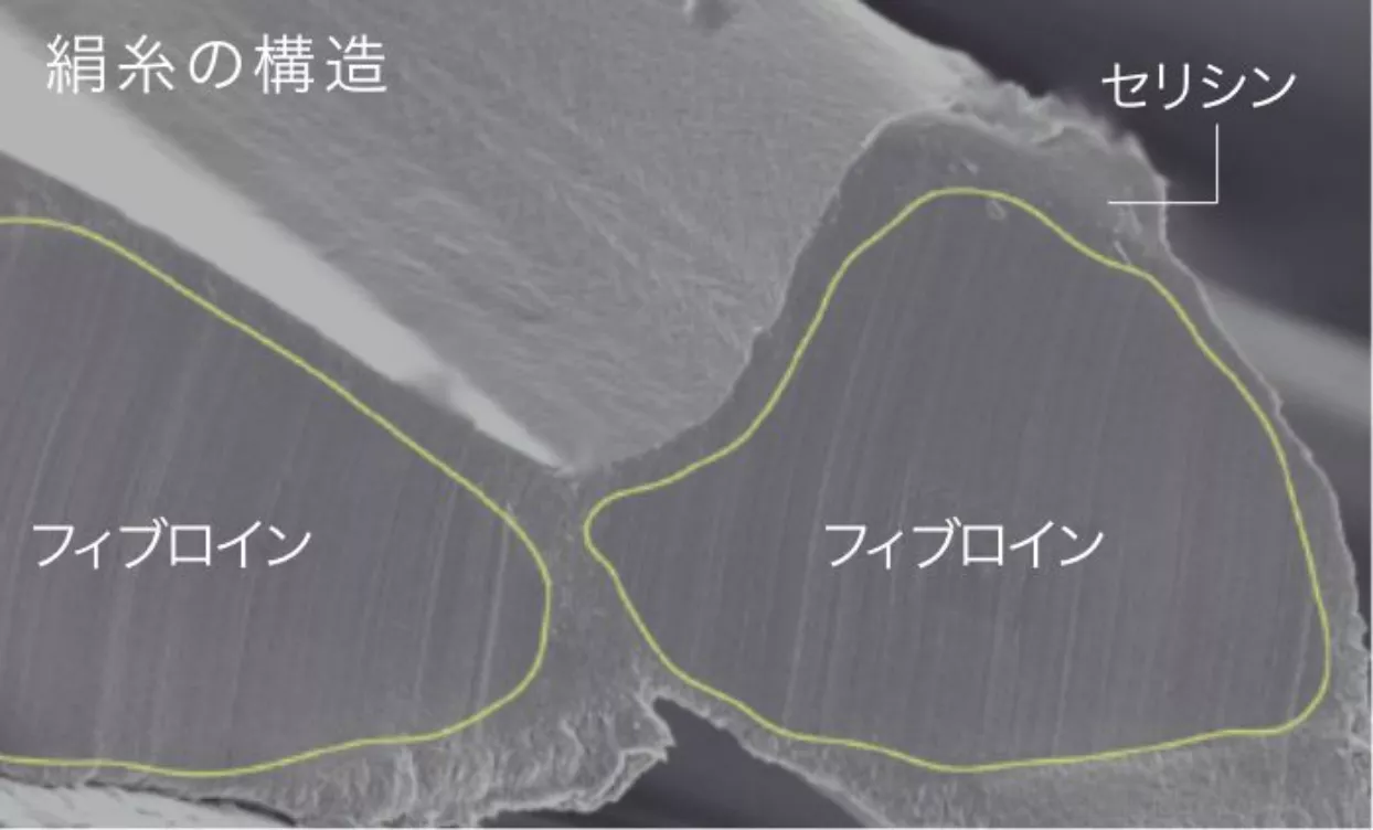 人肌に近い成分「セリシン」が、優しく、潤う
